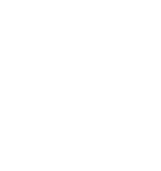 安徽龍華化工股份有限公司企業年度報告